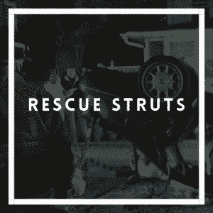Junkyard Dog Rescue Struts